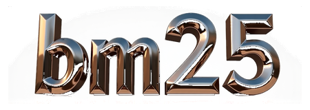 bm25 logo
